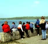 Picture of a group of children looking out over the Harbour