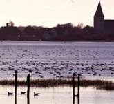 Picture of the view across Chichester Harbour