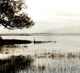 Picture of the view across Chichester Harbour